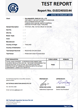 TITANIUM TBC-PIN/BKTLB-PIN (2023-01-10)